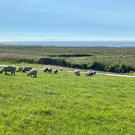 Vakantiehuis Haus Meerauszeit - Erholung An Der Nordsee Schweiburg