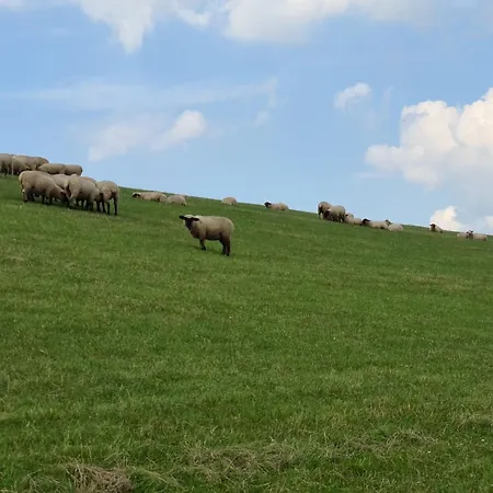 Haus Meerauszeit - Erholung An Der Nordsee * Schweiburg