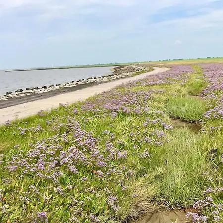 Haus Meerauszeit - Erholung An Der Nordsee *