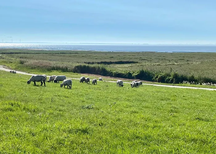 Haus Meerauszeit - Erholung An Der Nordsee * Schweiburg