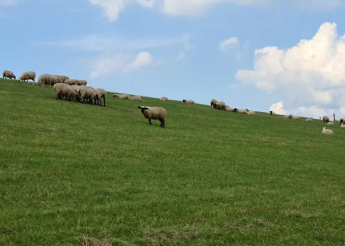 Haus Meerauszeit - Erholung An Der Nordsee * Schweiburg